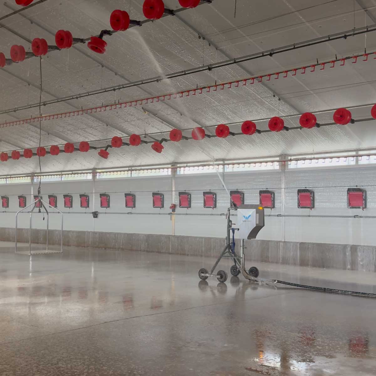 robot de lavage P200 en train de laver un batiment volaille