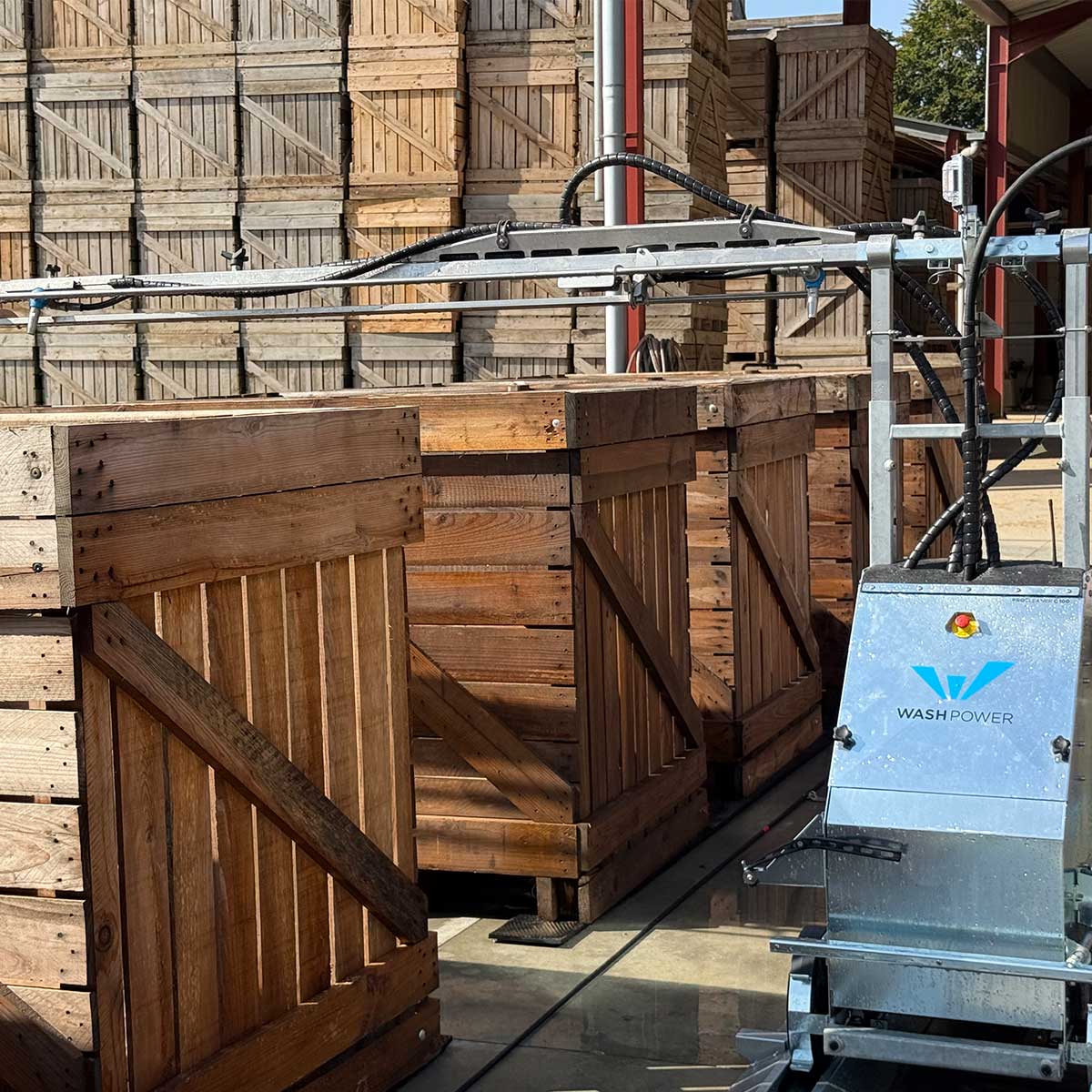 Le robot de lavage C100 à côté des palox de plants de pommes de terre lavés.