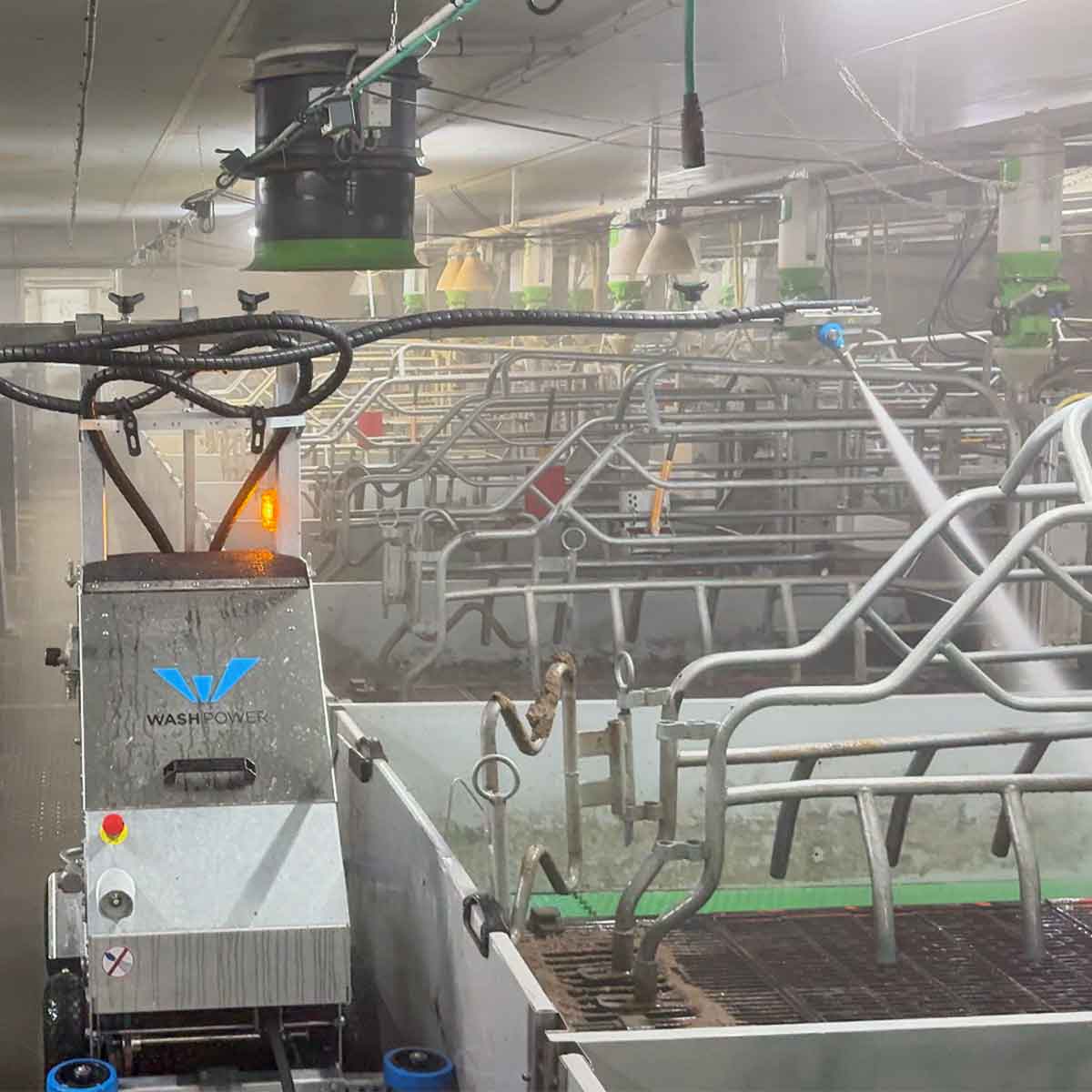 Robot de lavage ProCleaner X100 dans la maternité porcine de la SCEA de Lichouet en fonctionnement