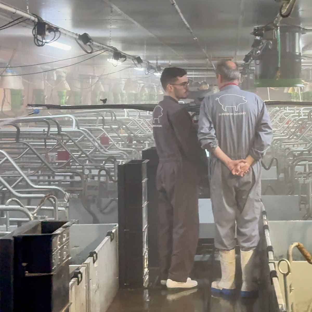 Louis-Pierre et Laurent Cosperec dans la maternité porcine de la SCEA de Lichouet devant le robot de lavage ProCleaner X100 en fonctionnement