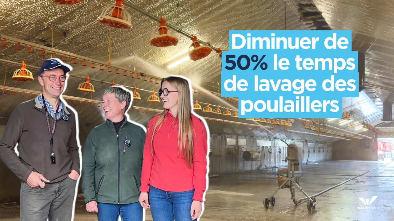 Miniature-interview-elevage-masschelein-belgique-youtube EARL du Menhir - Gagnez du temps avec le robot de lavage P200